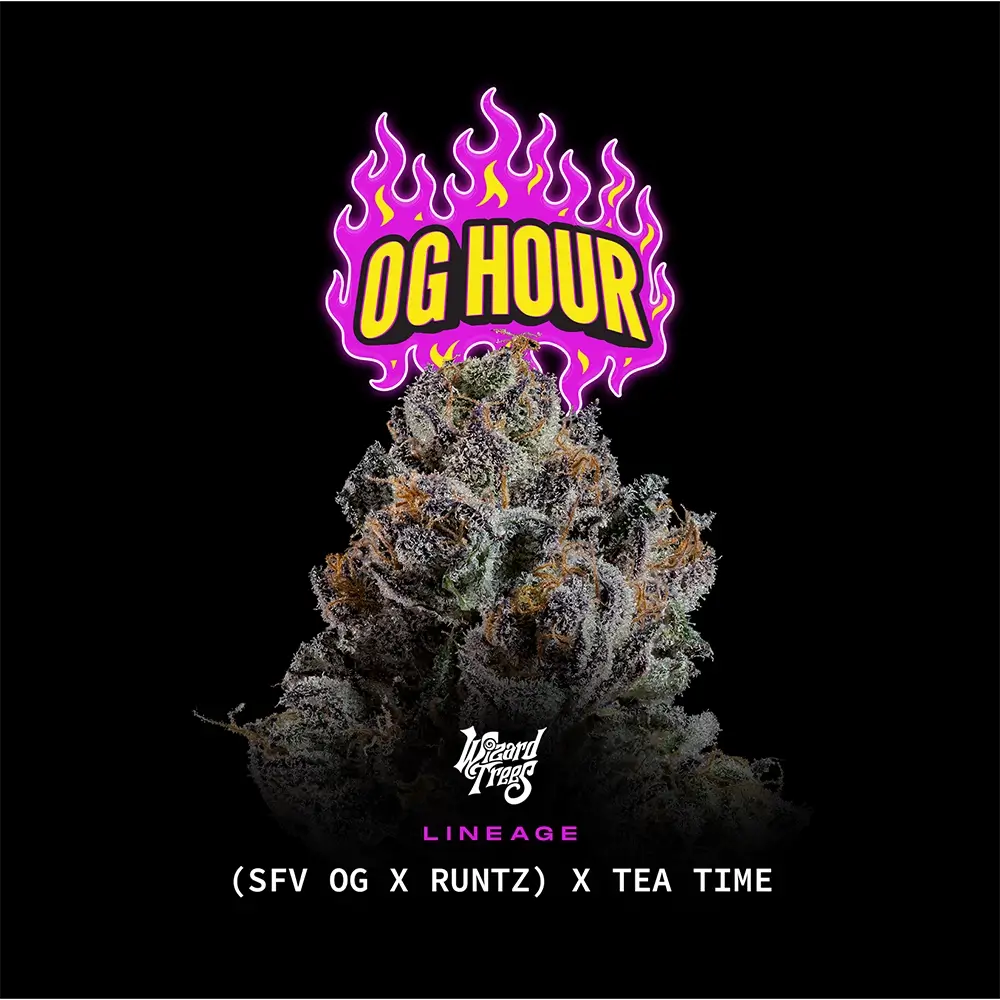 OG Hour | Wizard Trees