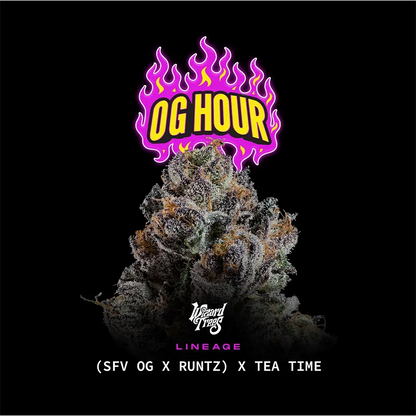 OG Hour | Wizard Trees