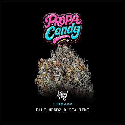 Propa Candy | Wizard Trees