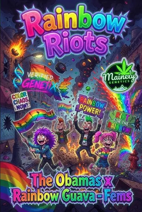 Rainbow Riots | Mainely Genetics