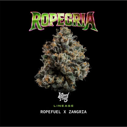 Ropegria | Wizard Trees
