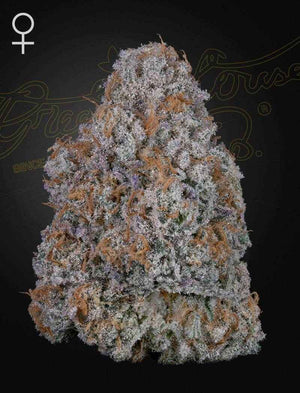 Super Lemon Haze x RS11 | Green House Seeds