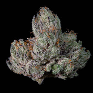 Studio Cherry | Wizard Trees