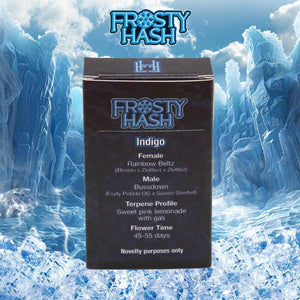 Indigo (Regulär) | Frosty Hash