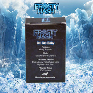 Ice Ice Baby (Regulär) | Frosty Hash