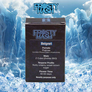 Beignet (Regulär) | Frosty Hash