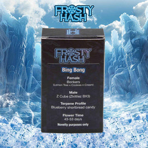 Bing Bong (Regulär) | Frosty Hash