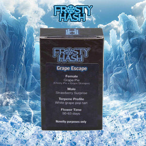 Grape Escape (Regulär) | Frosty Hash