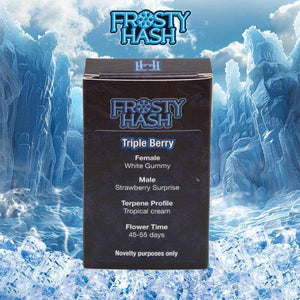 Triple Berry (Regulär) | Frosty Hash