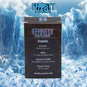 Coolata (Regulär) | Frosty Hash