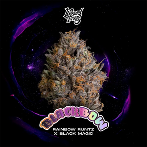 Black Bow | Wizard Trees