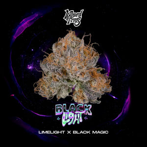 Black Light | Wizard Trees