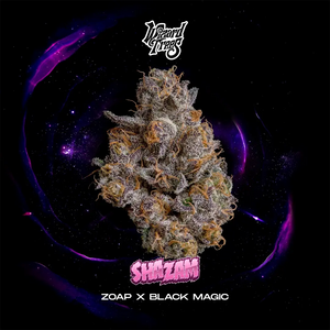 Shazam | Wizard Trees