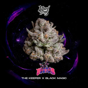 Voodo | Wizard Trees