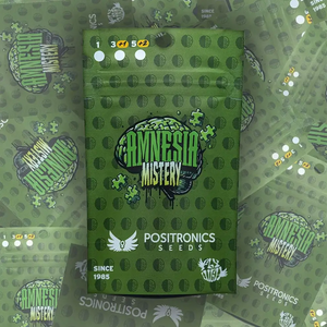 Amnesia Mistery | Positronics Seeds