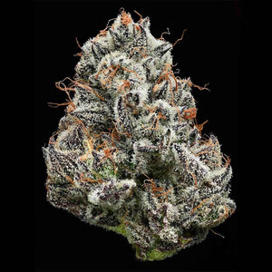 Black Cherry Gushers | Barneys Farm