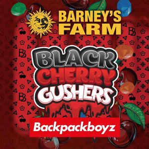 Black Cherry Gushers | Barneys Farm