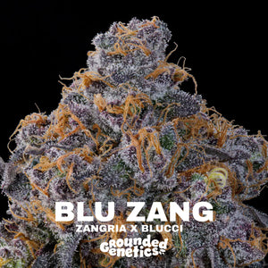 Blu Zang | Grounded Genetics