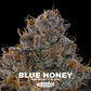 Blue Honey | Grounded Genetics