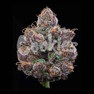 Candy Candy | Cookies Seeds
