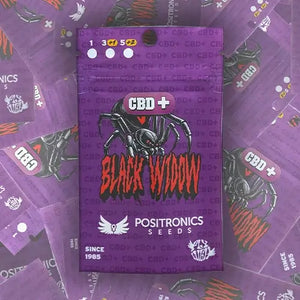 CBD+ Black Widow | Positronics Seeds
