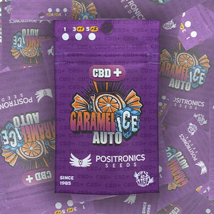 CBD+ Caramelice Auto | Positronics Seeds