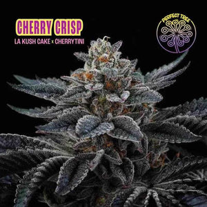 Cherry Crisp | Perfect Tree