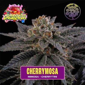 Cherrymosa | Perfect Tree