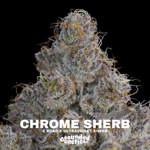 Chrome Sherb | Grounded Genetics