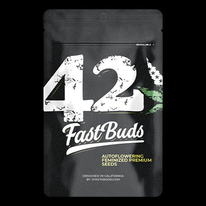 Super Boof Auto
