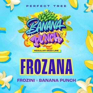 Frozana (Regulär)