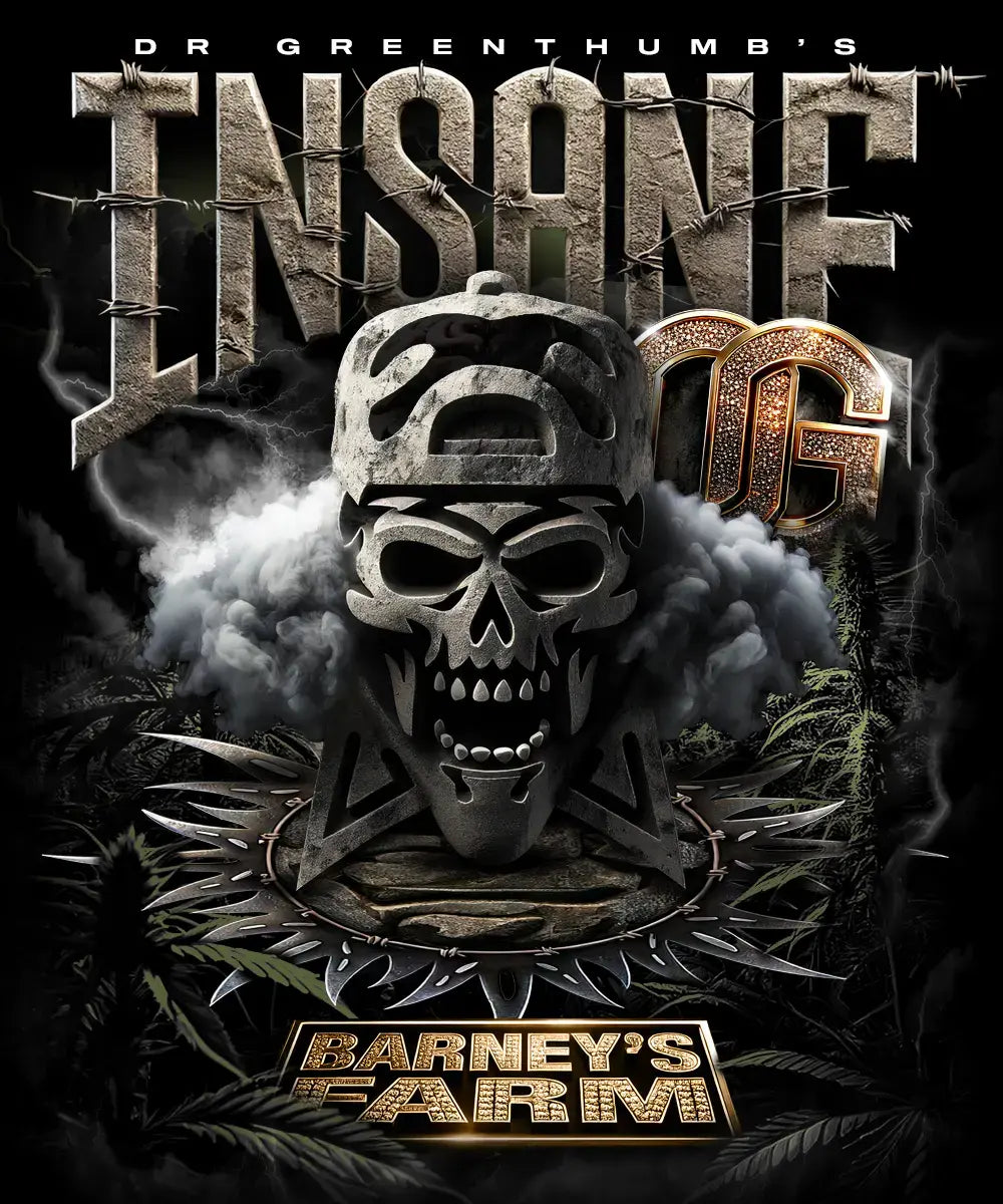 Insane OG von Barney’s Farm (Dr. Greenthumb) – Verpackungs-Artwork mit Totenkopf und OG-Logo