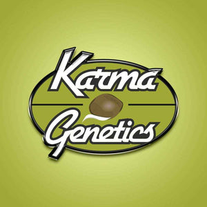 Melon Apple Zi (Regulär) | Karma Genetics