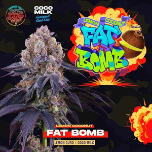 Fat Bomb | Perfect Tree