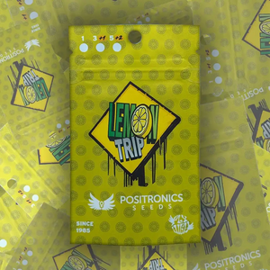 Lemon Trip | Positronics Seeds