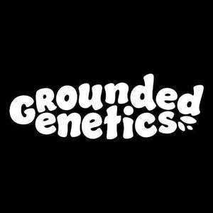 Apple Drops | Grounded Genetics - Only Seeds Europe