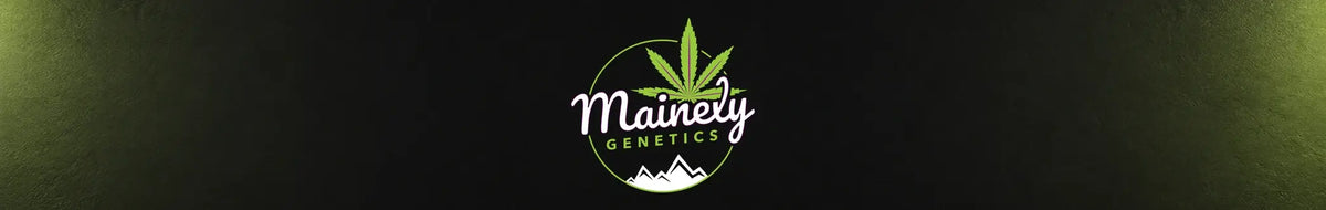 Mainely Genetics Original-Logo vor einer dunklen Wald- und Berglandschaft – Only Seeds Europe