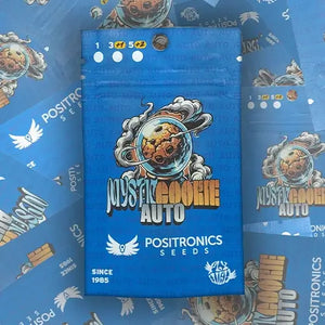 Mystic Cookie Auto | Positronics Seeds