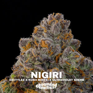 Nigiri | Grounded Genetics
