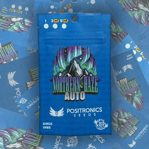 Northern Haze Auto | Positronics Seeds