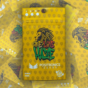 One Love Haze | Positronics Seeds