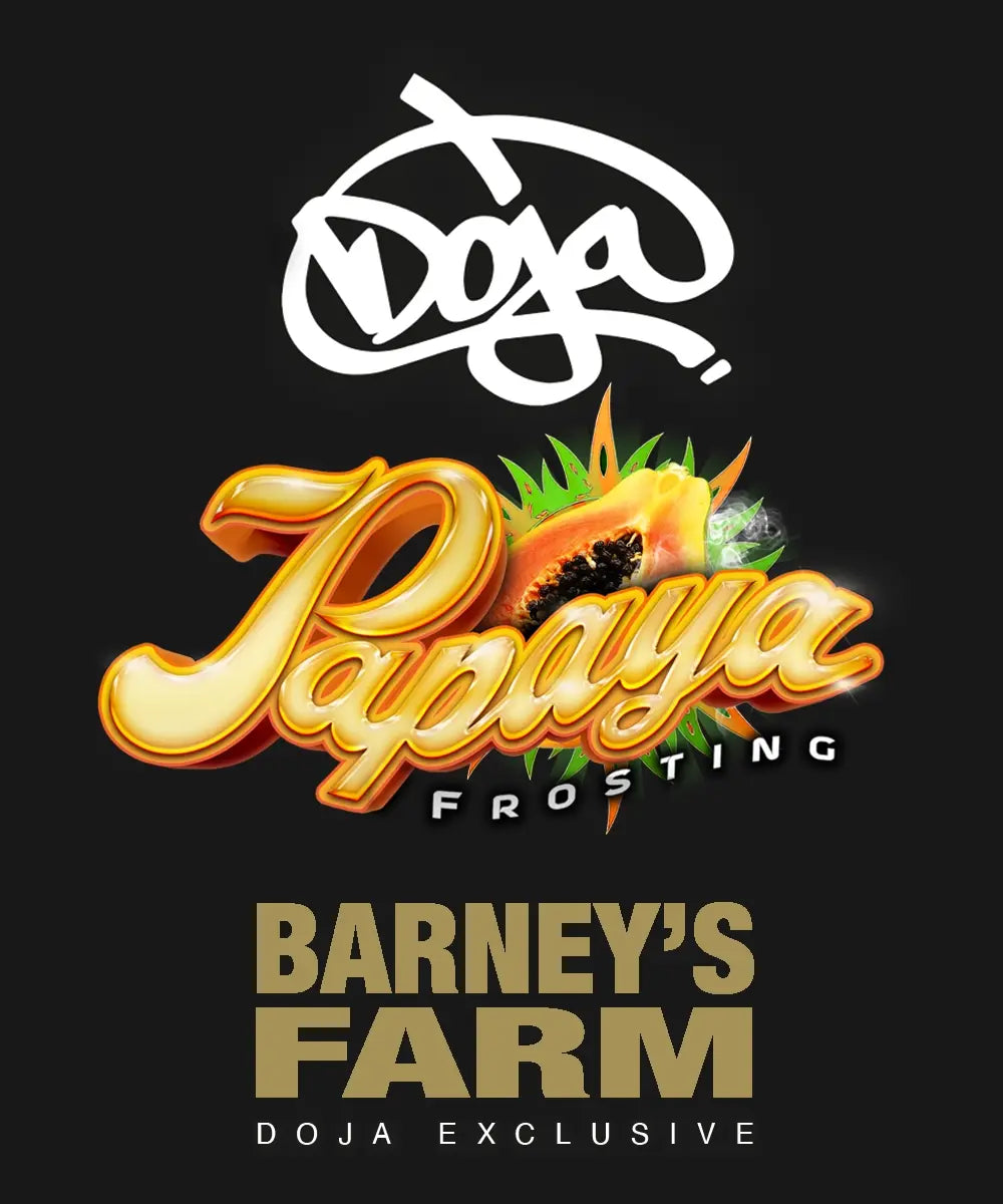 Papaya Frosting von Barney’s Farm (Doja Exclusive) – Verpackungs-Artwork mit Papaya-Grafik und Logos.