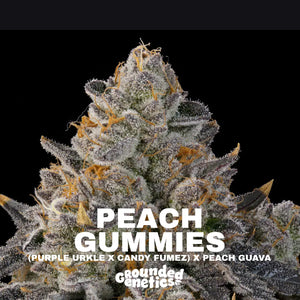 Peach Gummies | Grounded Genetics