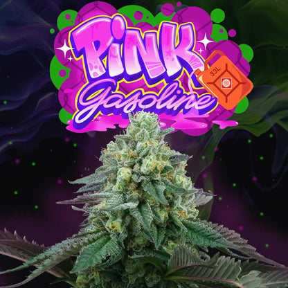 Pink Gasoline