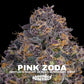 Pink Zoda | Grounded Genetics