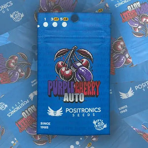 Purple Cherry Auto | Positronics Seeds