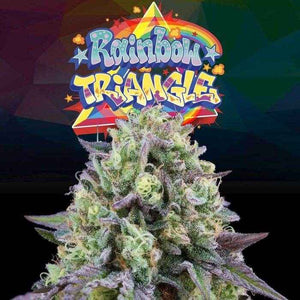 Rainbow Triangle | Perfect Tree