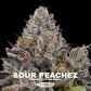 Sour Peachez | Grounded Genetics