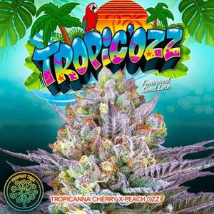 Tropic'ozz | Perfect Tree