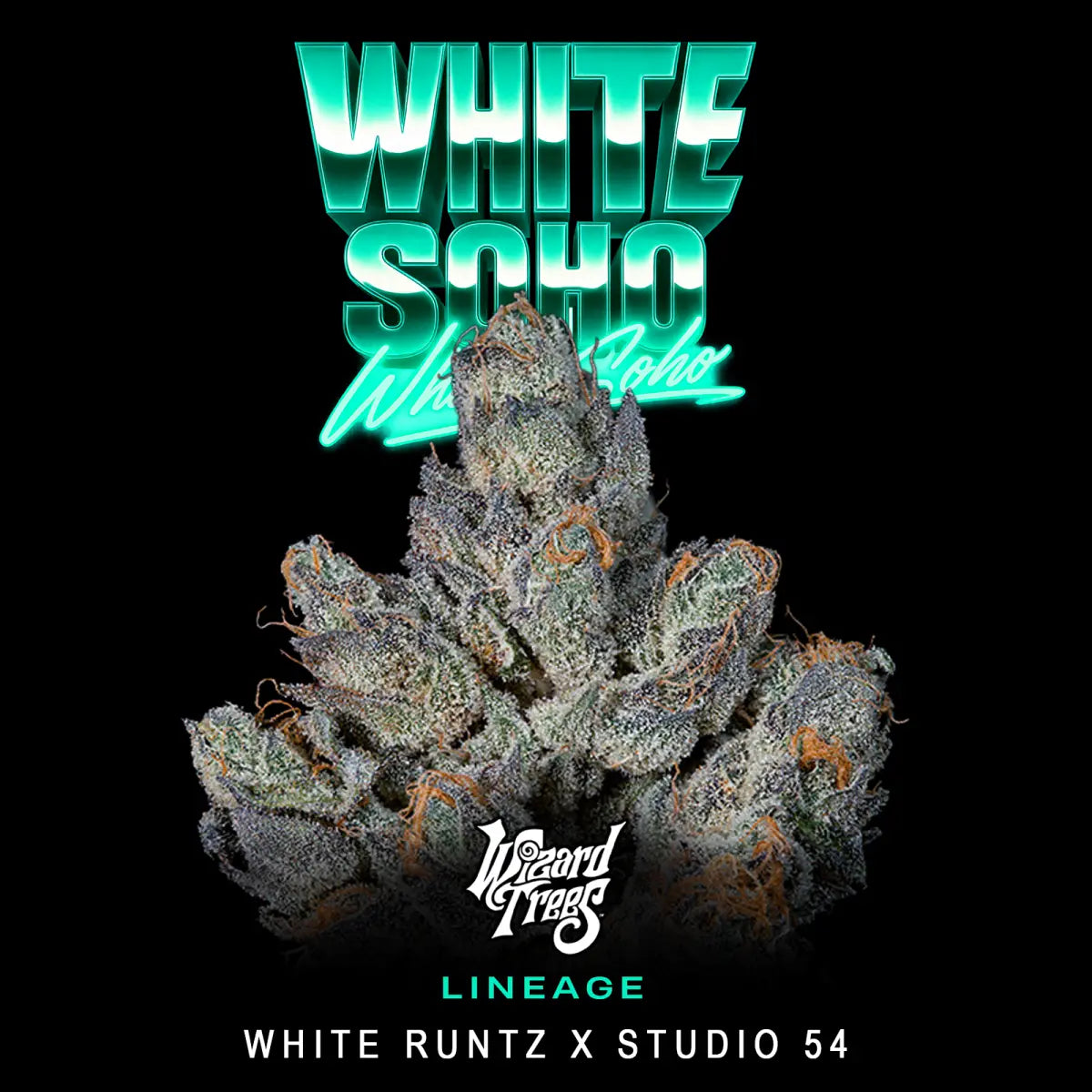 White Soho | Wizard Trees